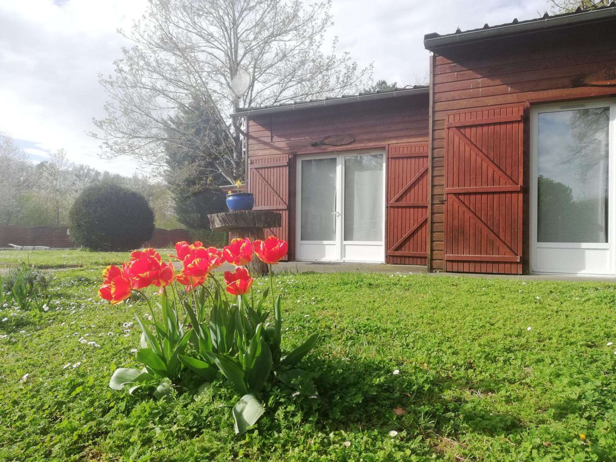 Chalets Mouliere Evasion Montamisé Exterior foto