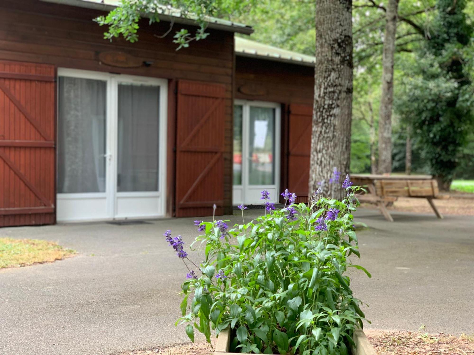 Chalets Mouliere Evasion Montamisé Exterior foto
